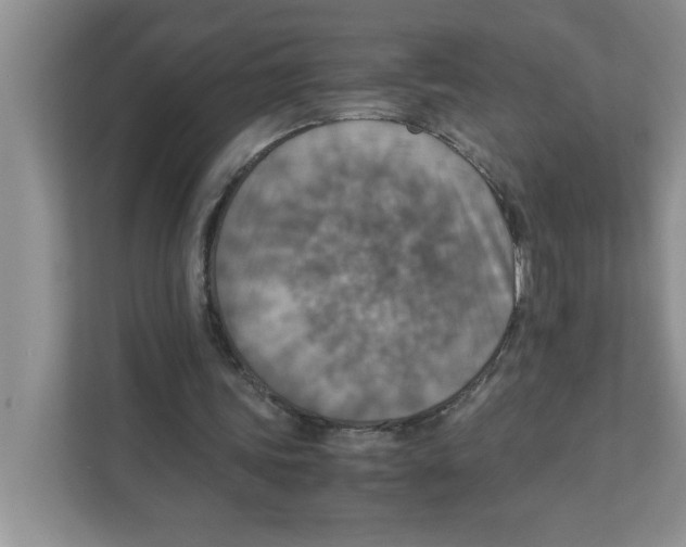 X0000110930339200907161543