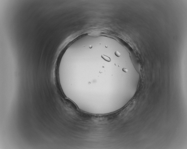 X0000110930340200907161543