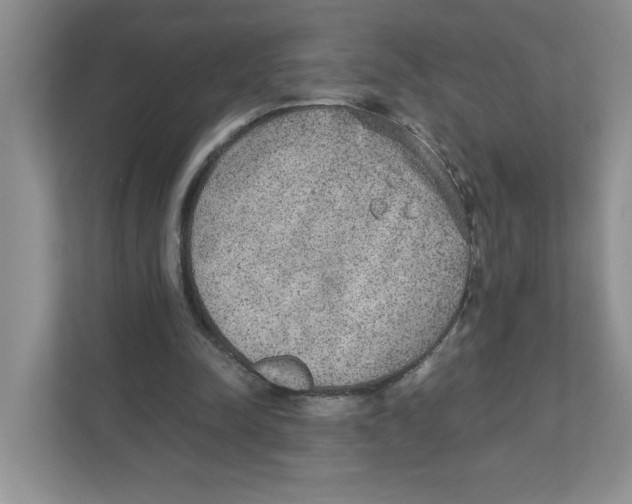 X0000110930342200907161543