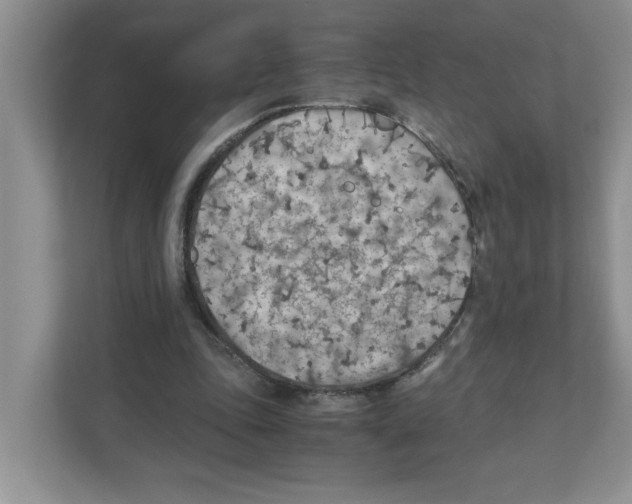 X0000110930343200907161543