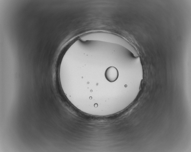 X0000110930344200907161543