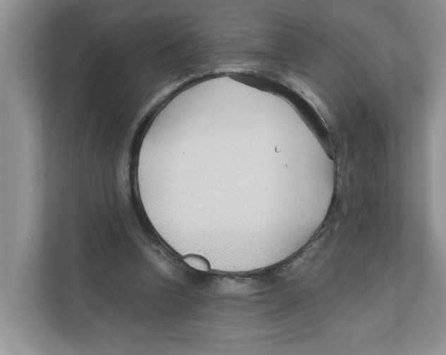 X0000110930346200907161543