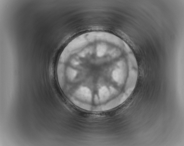 X0000110930347200907161543