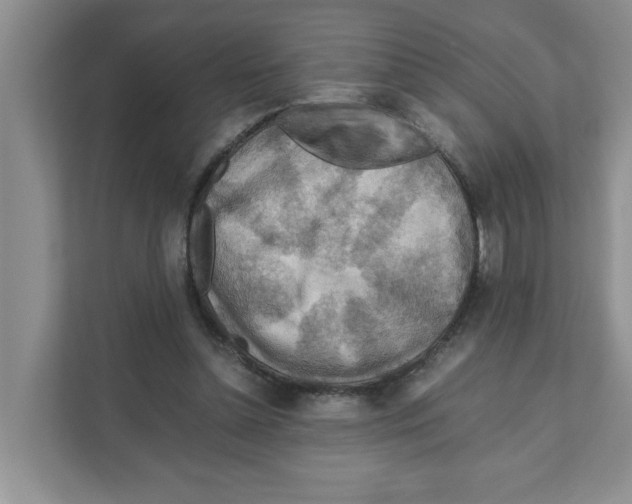 X0000110930348200907161543