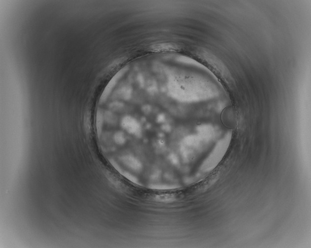 X0000110930353200907161544