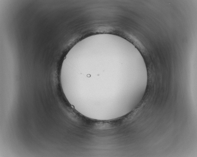 X0000110930354200907161544