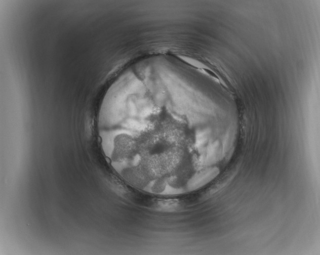 X0000110930355200907161544