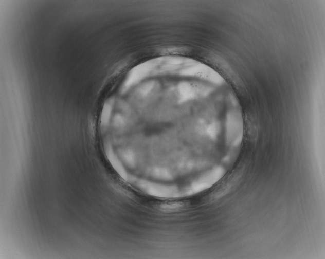 X0000110930357200907161544