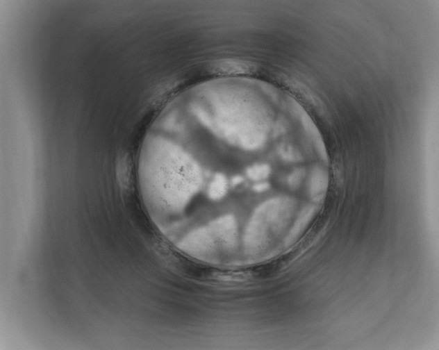 X0000110930359200907161544