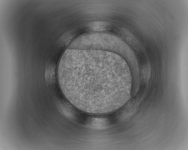X0000110930360200907161544