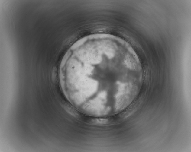 X0000110930361200907161544