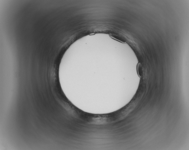 X0000110930362200907161544