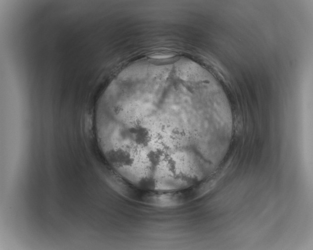 X0000110930365200907161544