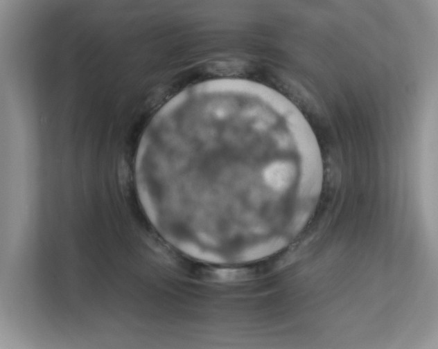X0000110930371200907161544
