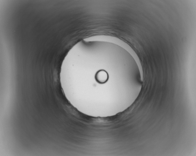 X0000110930380200907161544
