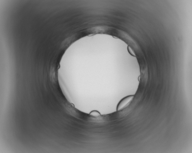 X0000110930381200907161544