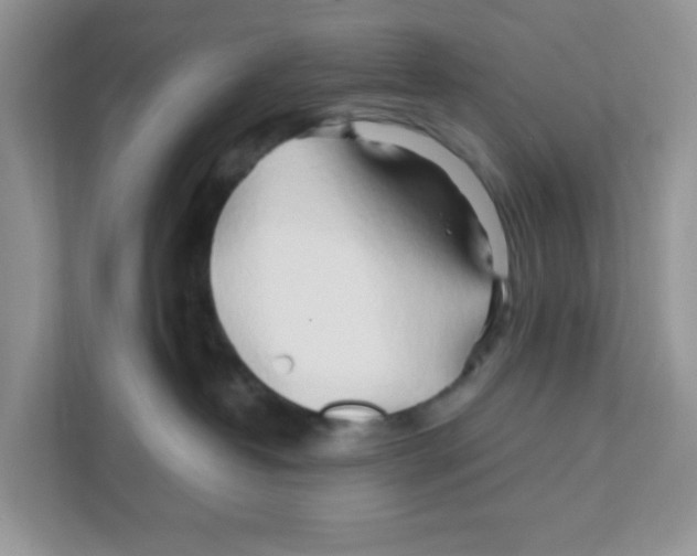 X0000110930382200907161544