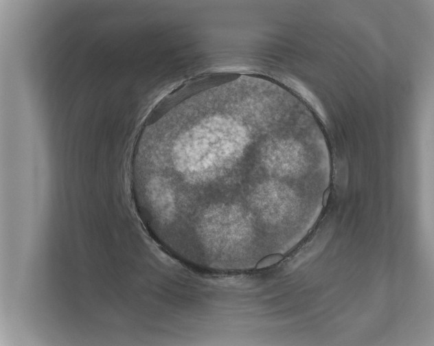 X0000110930385200907161543
