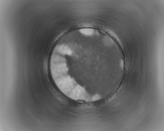 X0000110930386200907161543