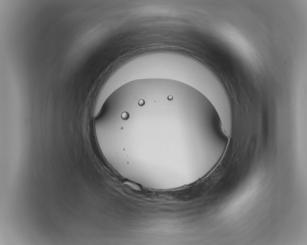 X0000110930387200907161543