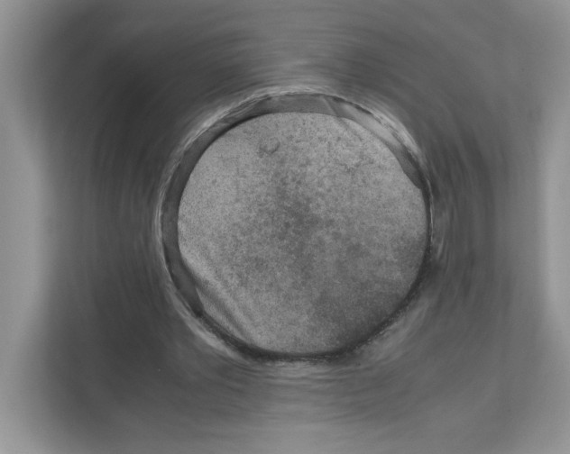X0000110930389200907161543