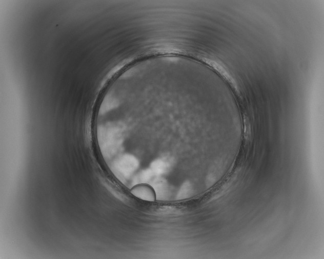 X0000110930390200907161543