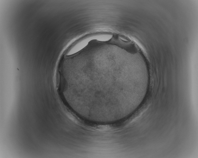 X0000110930391200907161543
