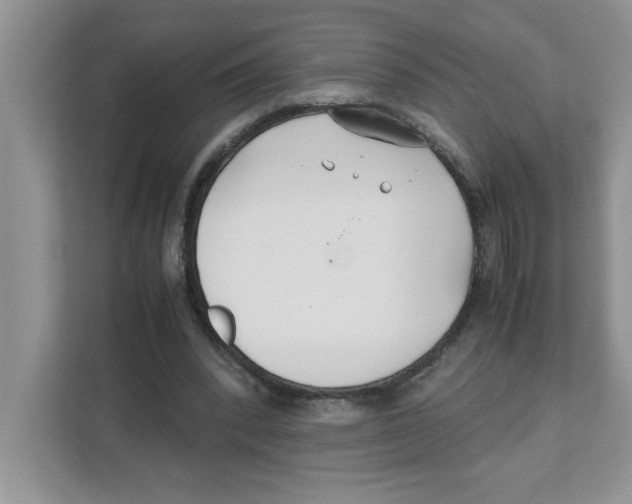 X0000110930392200907161543