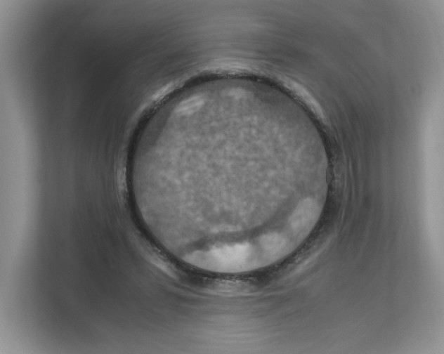 X0000110930399200907161543