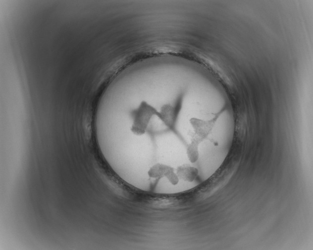 X0000110930402200907161543