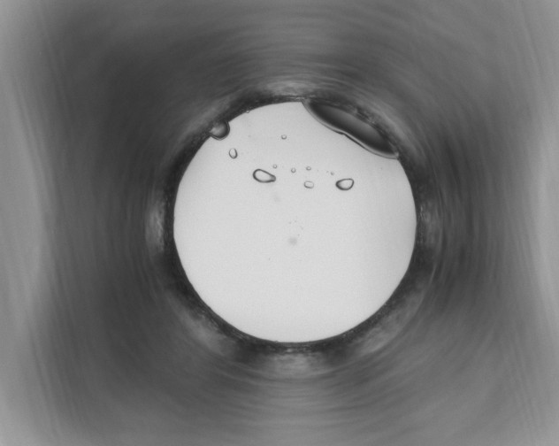 X0000110930404200907161543