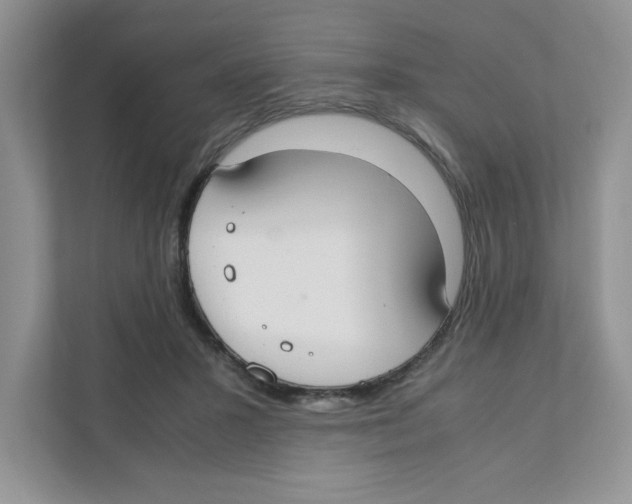 X0000110930407200907161543