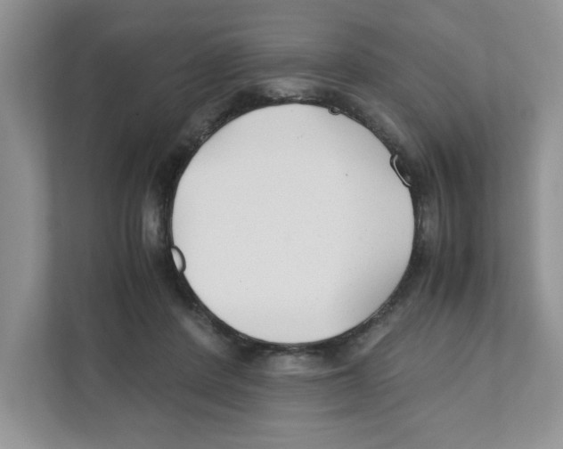 X0000110930408200907161543