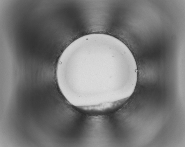X0000110930411200907161543