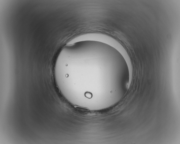 X0000110930415200907161543