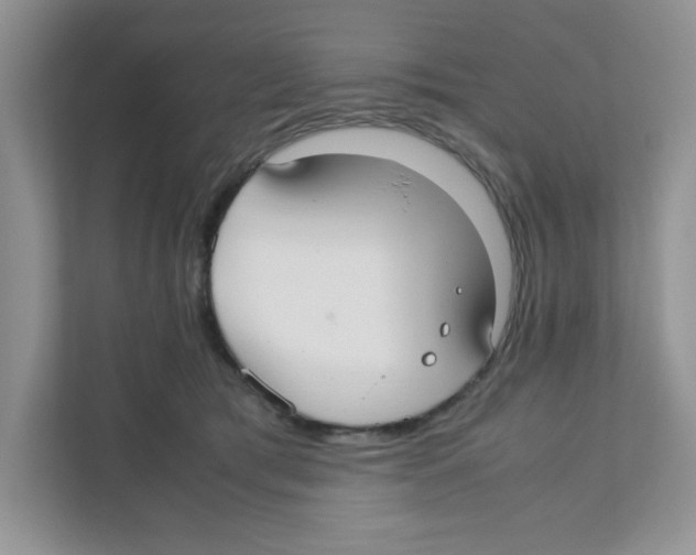 X0000110930417200907161543