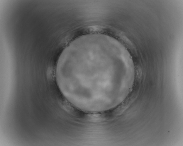 X0000110930419200907161543