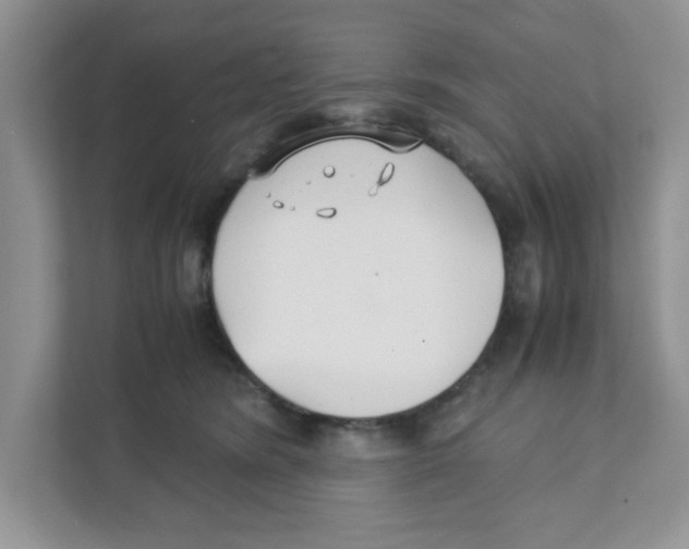 X0000110930420200907161543