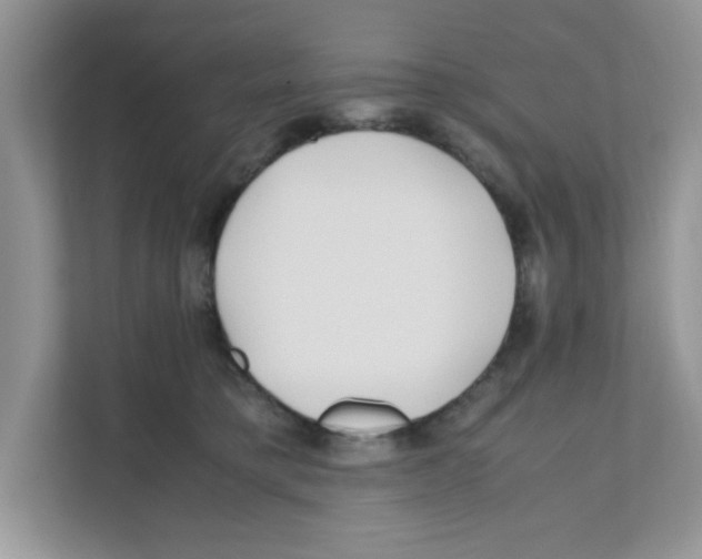 X0000110930421200907161543