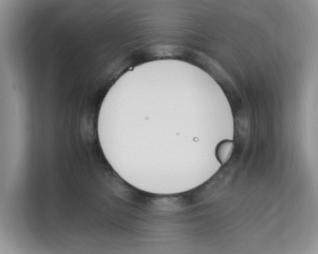 X0000110930422200907161543