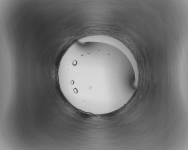 X0000110930423200907161543