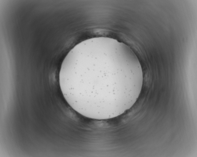X0000110930424200907161543
