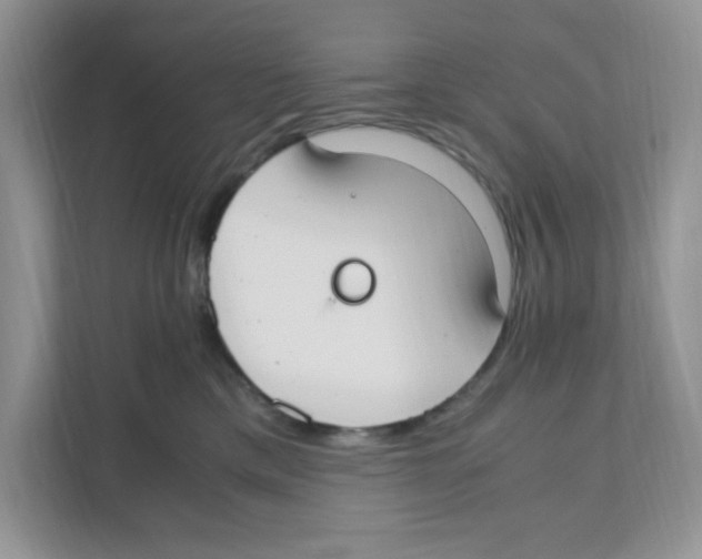 X0000110930425200907161543
