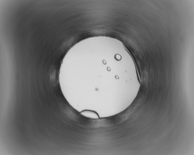 X0000110930428200907161543