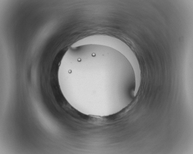 X0000110930429200907161543