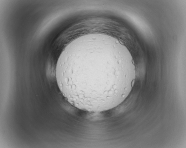 X0000110930431200907161543