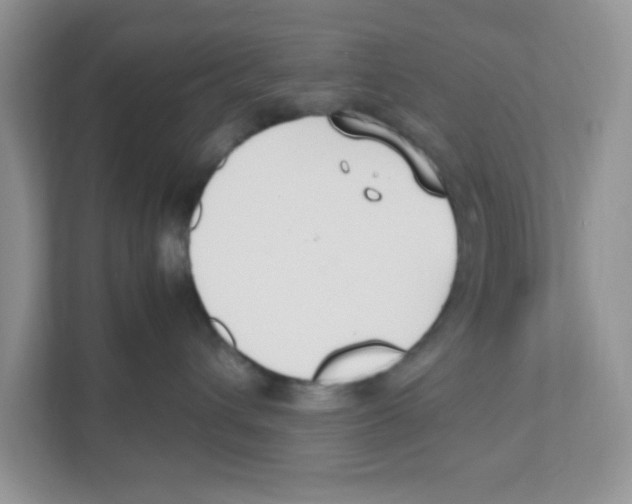 X0000110930432200907161543