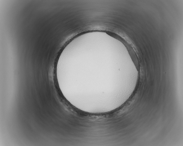 X0000110930434200907161542