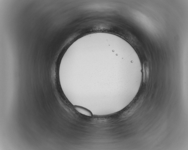 X0000110930435200907161542