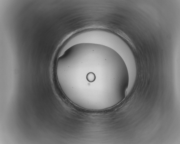 X0000110930436200907161542